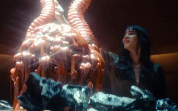 Le cabinet des curiosités